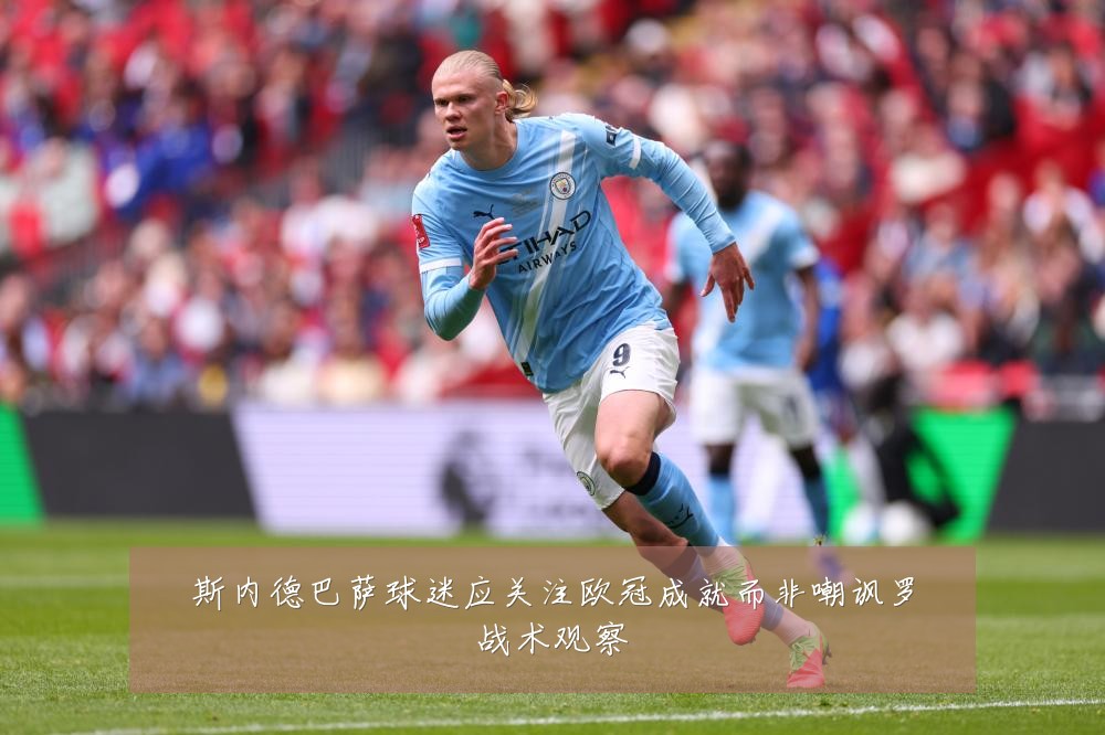斯内德巴萨球迷应关注欧冠成就而非嘲讽罗战术观察
